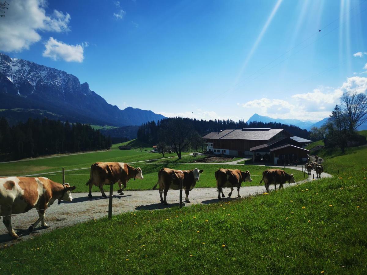 Biobauernhof Und Riederbauer * Rettenschöss